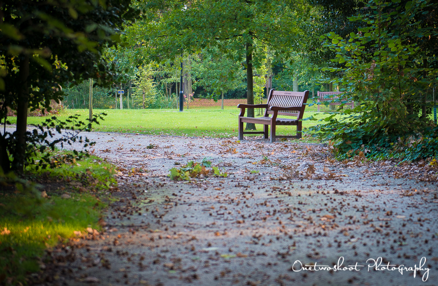 Wandelweg in het domein Blauwendael, ideaal park voor huwelijksfotograaf en bruidspaar voor huwelijksfotografie